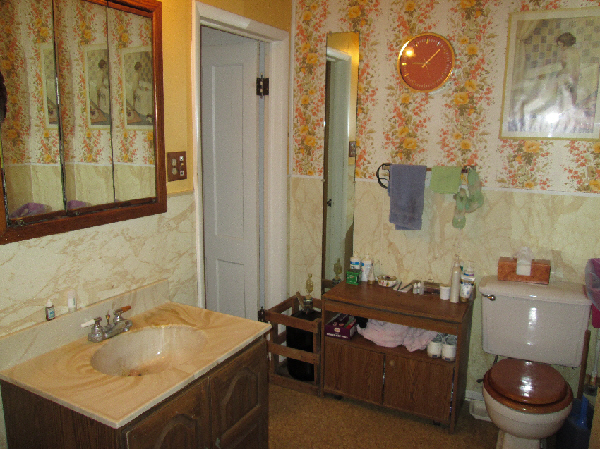 residence 10121 hyatt hill dundee ny bathroom 2 of 2
